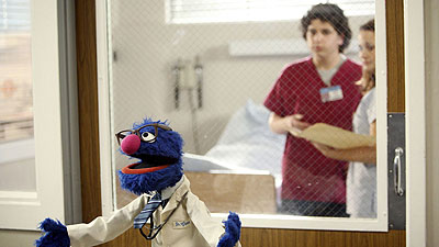 Grover on Scrubs