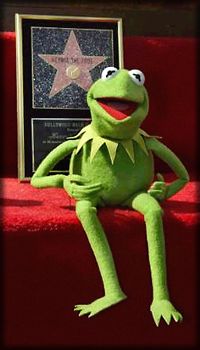 Walk Fame Stars on Muppet Central News   Kermit Honored At Hollywood Walk Of Fame