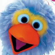 Pino