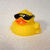 whattheduck