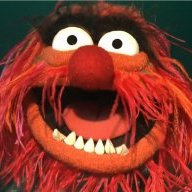 muppetgirl10