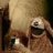 bc-fraggle