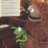 rowlf84