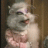 KatWoman