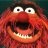 muppetgirl10