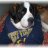 TooDogCrazy