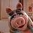 melissa@muppet