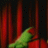 blessedpsycho